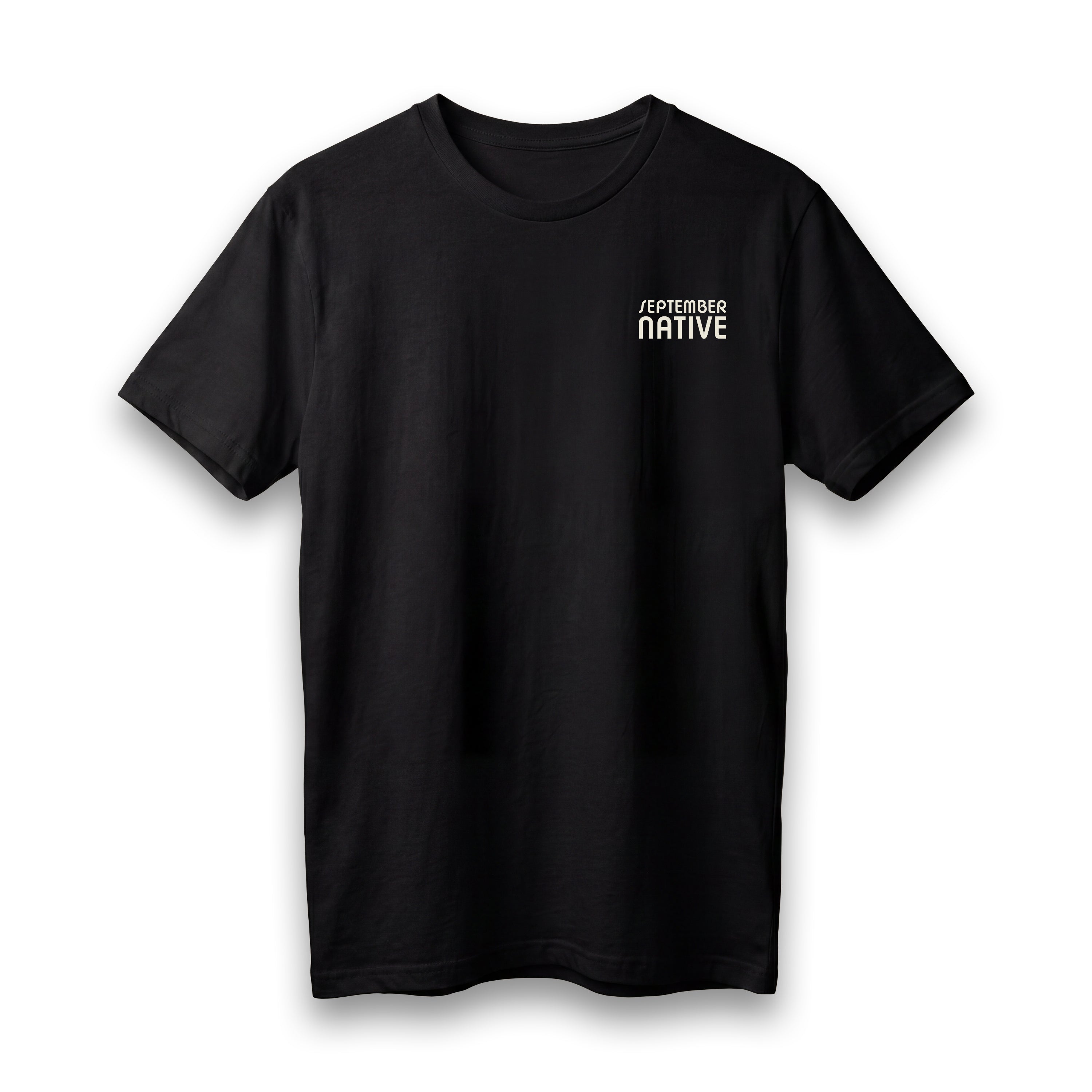 Front view of black lightweight Children of Gaza Palestinian T-shirt with September Native chest logo.